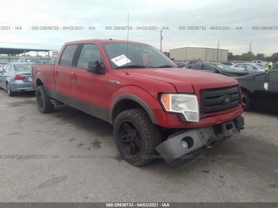 FORD F-150 2009