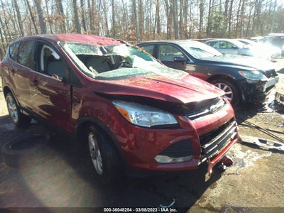 Ford Escape 2014