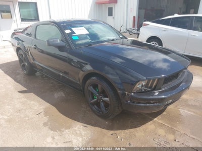 Ford Mustang 2005