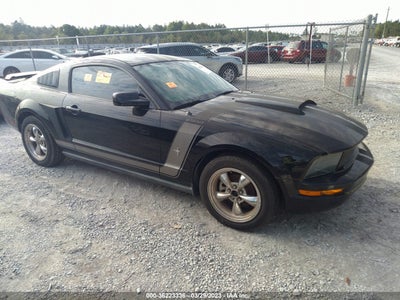 Ford Mustang 2005