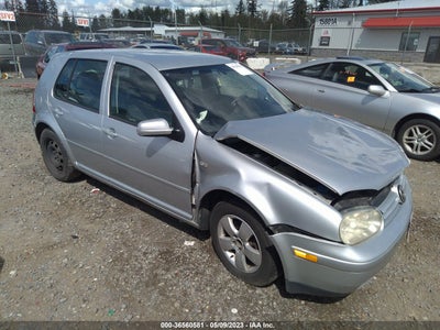 Volkswagen Golf 2002