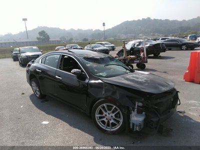 Nissan Maxima 2010