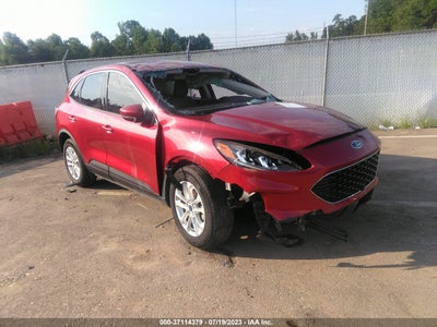 Ford Escape 2020