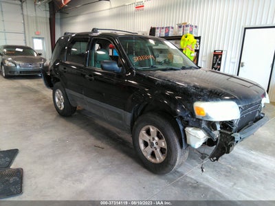 Ford Escape 2005