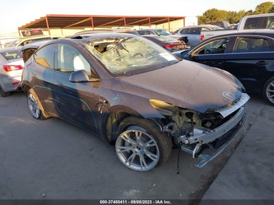 Tesla Model y 2023