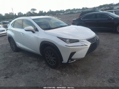 Lexus Nx 2019