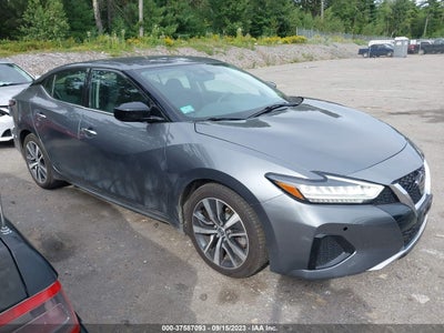 Nissan Maxima 2019