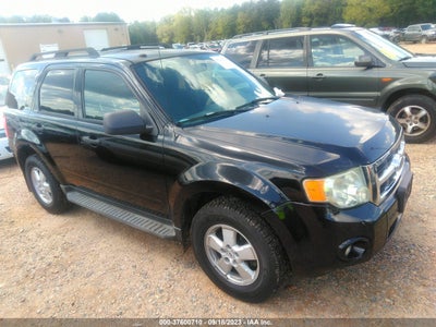 Ford Escape 2010