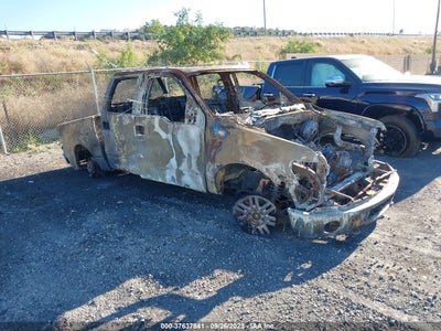 Ford F-150 2009
