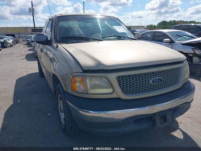 Ford F-150 1999