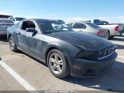 Ford Mustang 2013