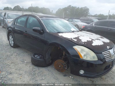 Nissan Maxima 2006