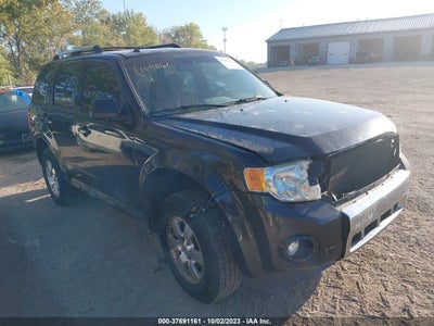 Ford Escape 2011