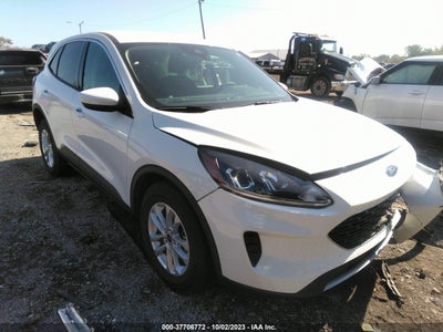 Ford Escape 2020
