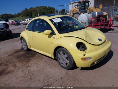 Volkswagen Beetle 2001