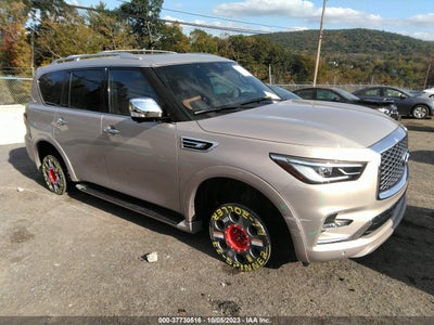 Infiniti Qx80 2023