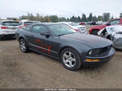 Ford Mustang 2007