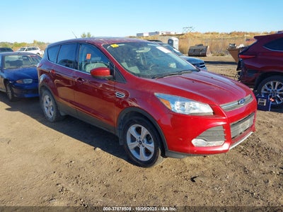 Ford Escape 2014