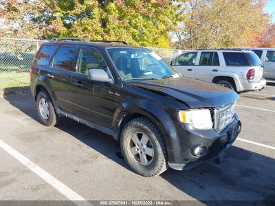 Ford Escape 2010