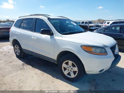 Hyundai Santa fe 2009