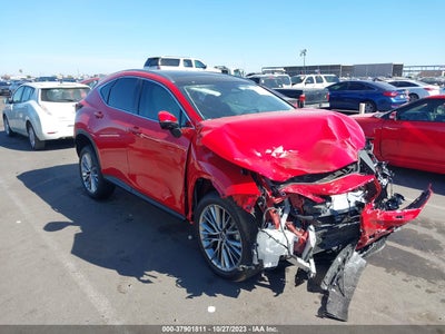 Lexus Nx 2024