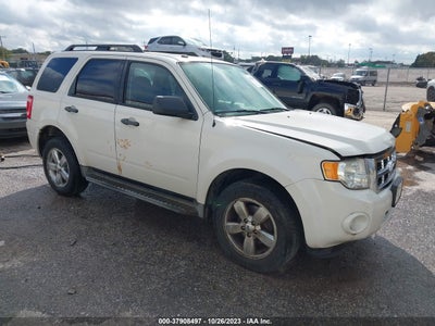 Ford Escape 2010
