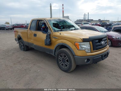 Ford F-150 2009