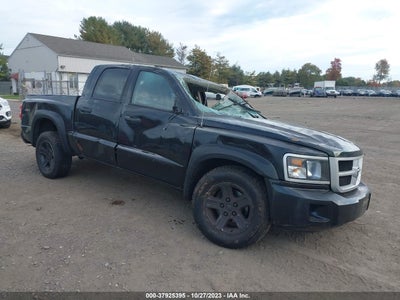 Ram Dakota 2011