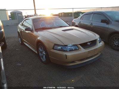Ford Mustang 2000