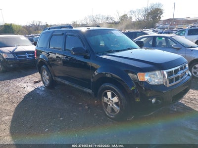 Ford Escape 2010