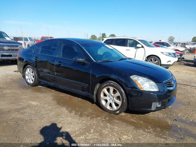 Nissan Maxima 2008