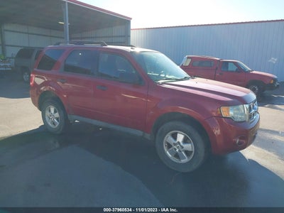 Ford Escape 2010