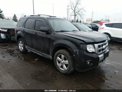 Ford Escape 2010