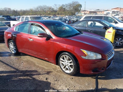 Nissan Maxima 2010