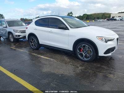 Alfa romeo Stelvio 2019