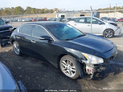 Nissan Maxima 2011