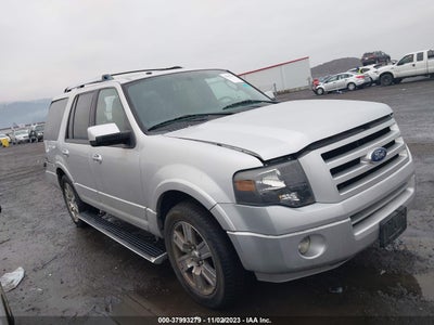 Ford Expedition 2010