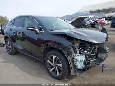 Lexus Nx 2020