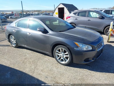Nissan Maxima 2010