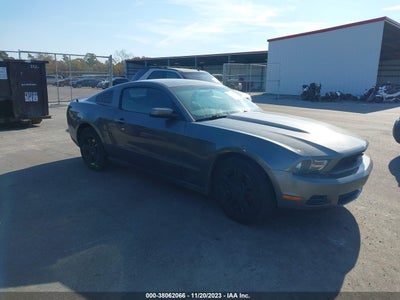 Ford Mustang 2011