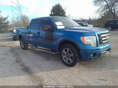 Ford F-150 2010