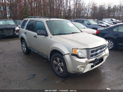 Ford Escape 2010