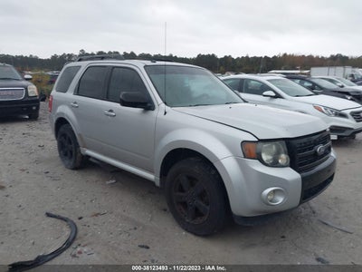 Ford Escape 2010