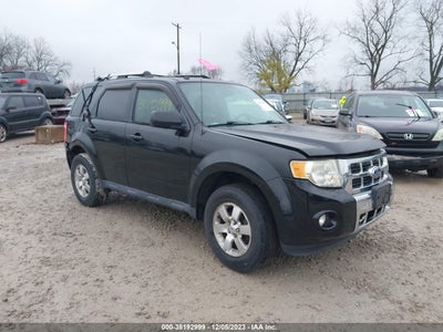 Ford Escape 2010