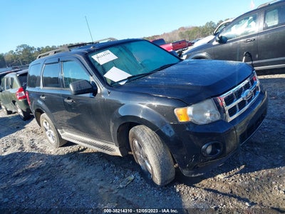Ford Escape 2011