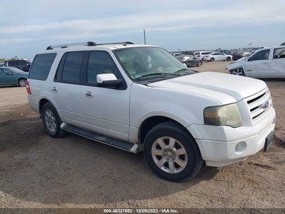 Ford Expedition 2010