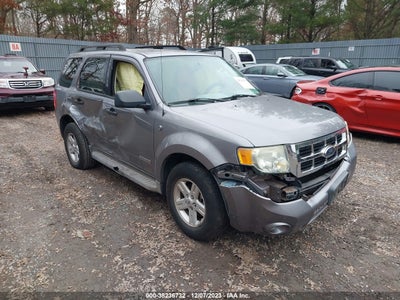 Ford Escape 2008