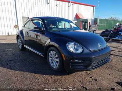 Volkswagen Beetle 2019