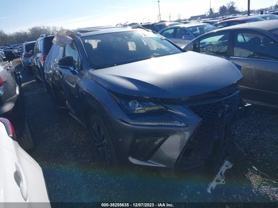Lexus Nx 300 2021