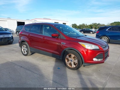 Ford Escape 2014